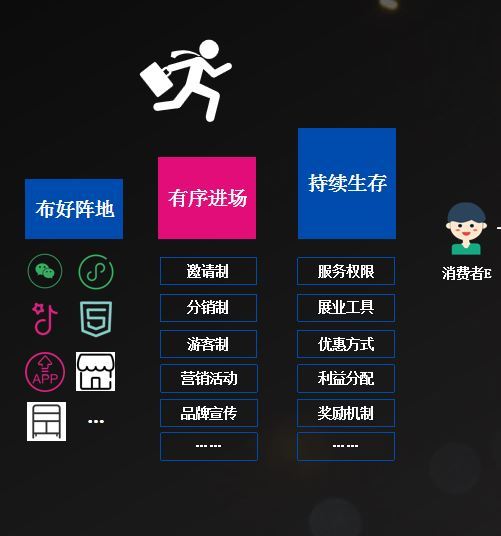 社交电商模式软件咨询
